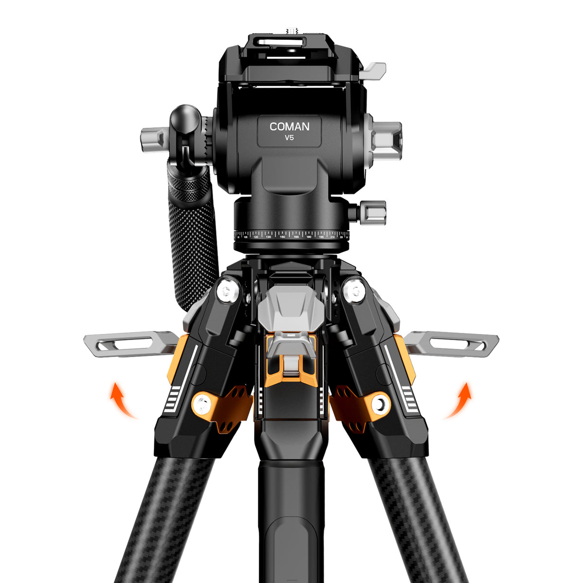 T1 V5