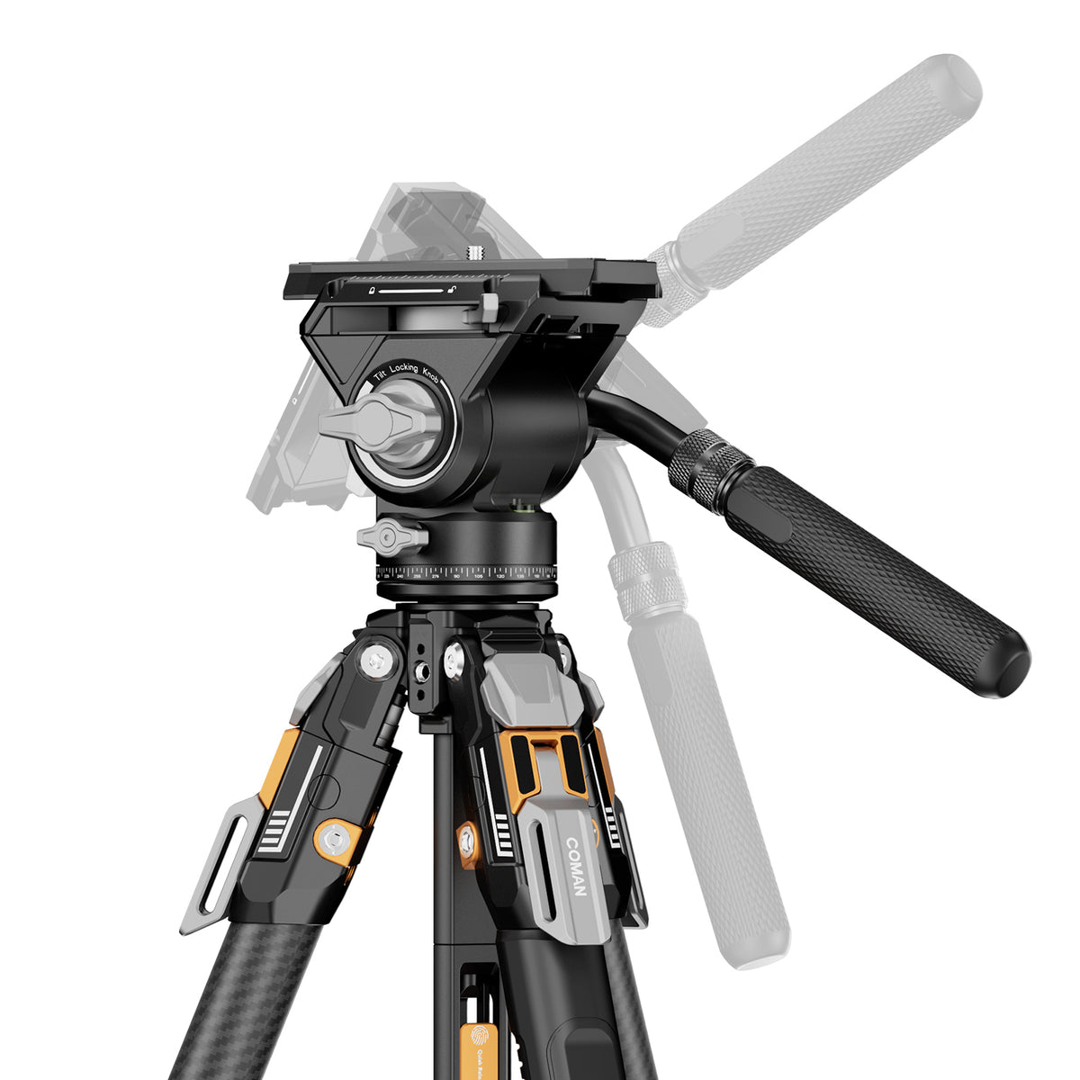 T1 V5