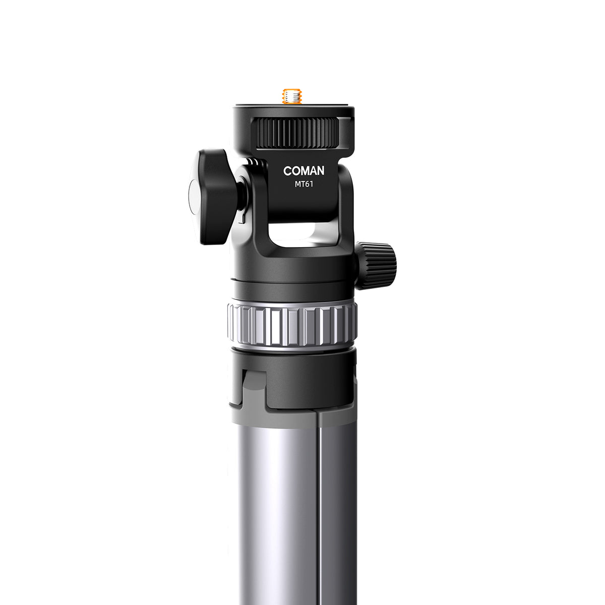 MT61